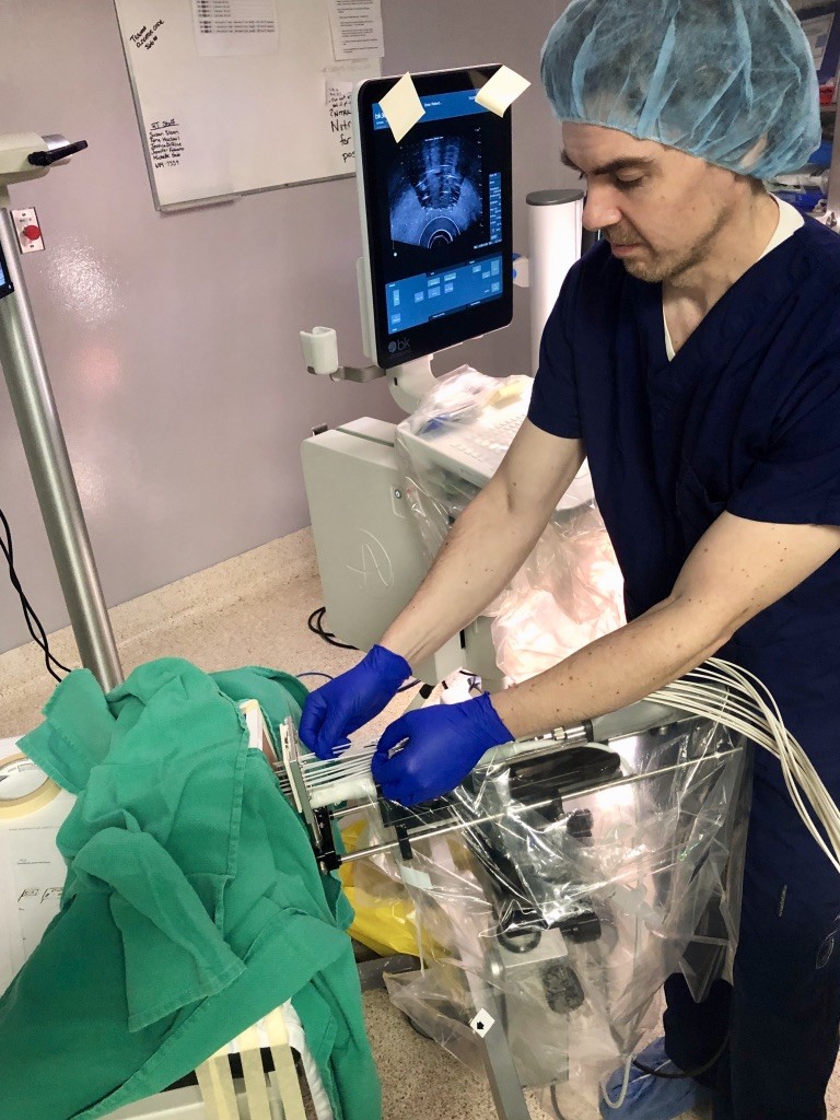 prostate-brachytherapy-2019