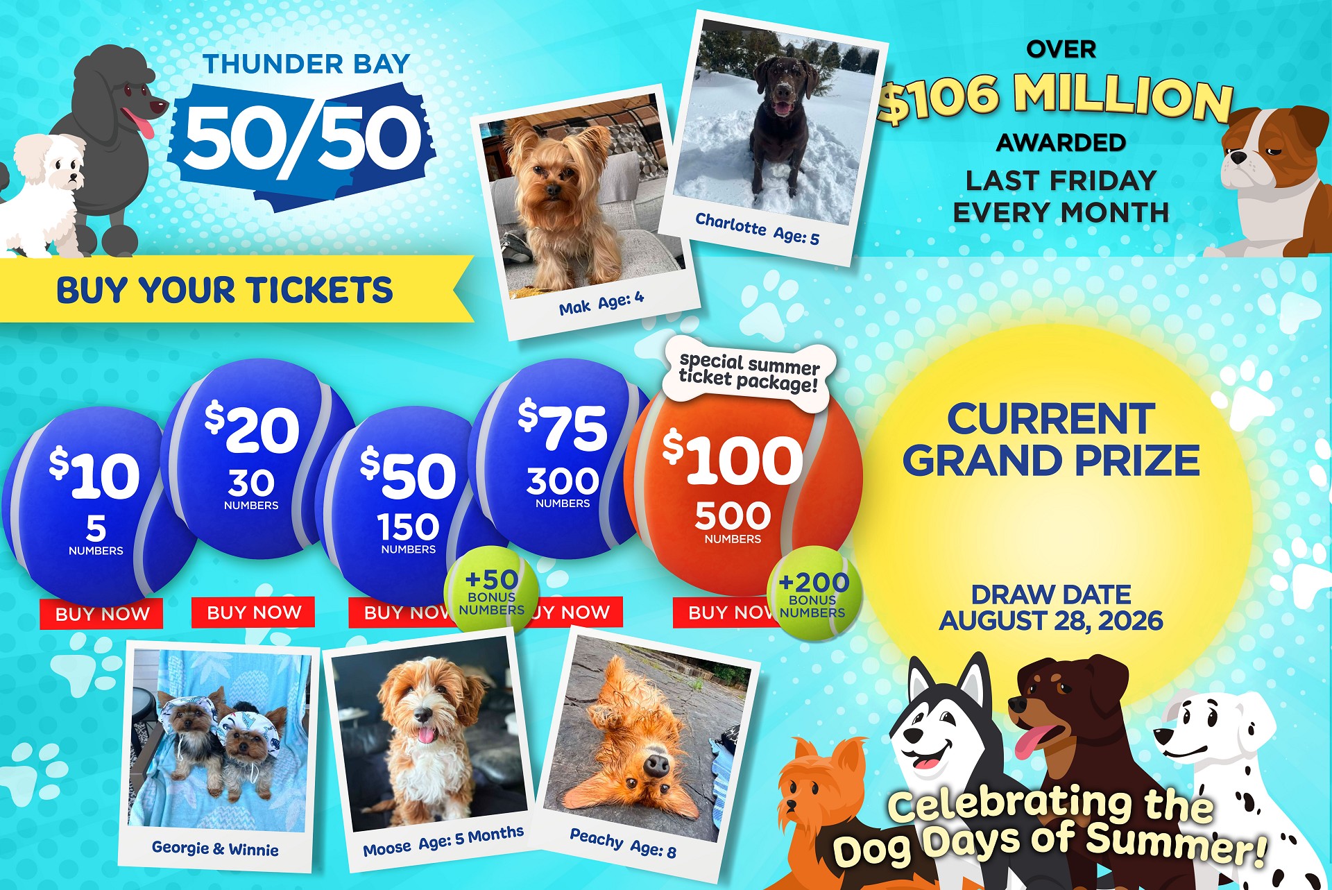 Grand Prize Banner