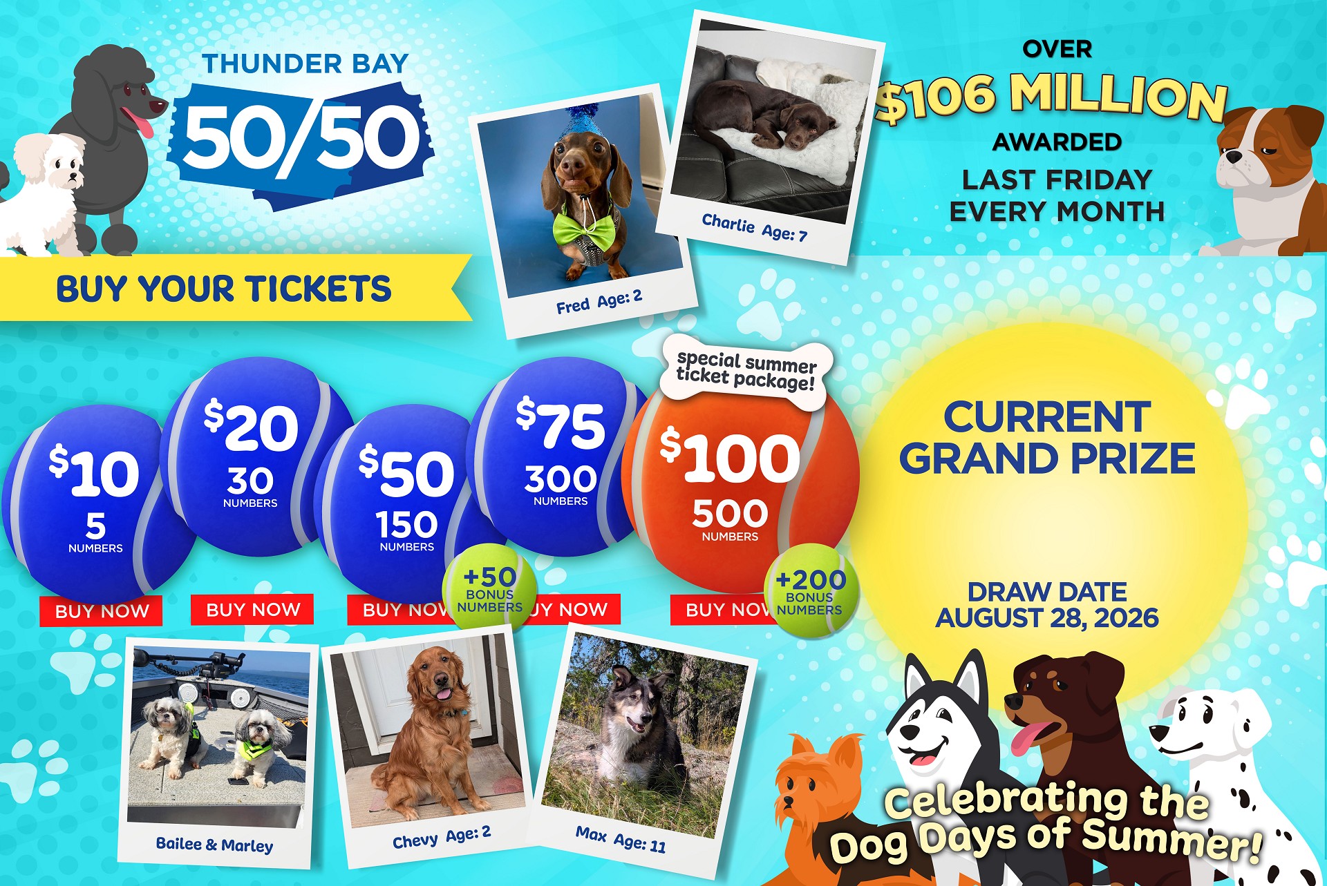 Grand Prize Banner