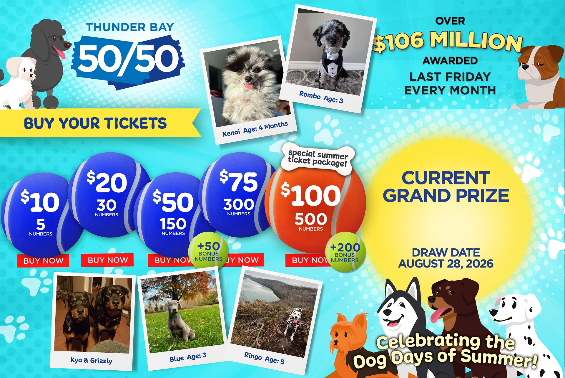 Grand Prize Banner