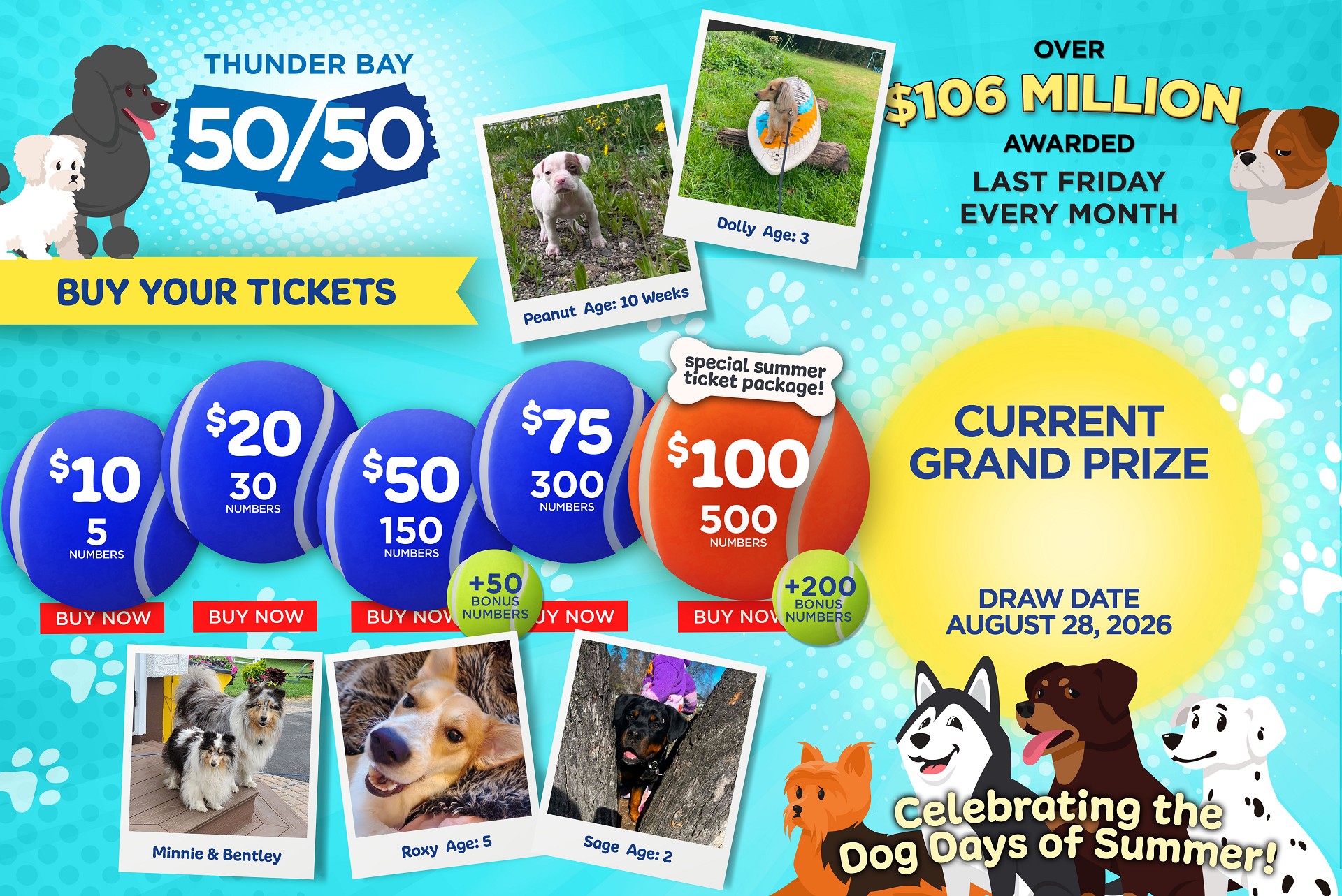 Grand Prize Banner