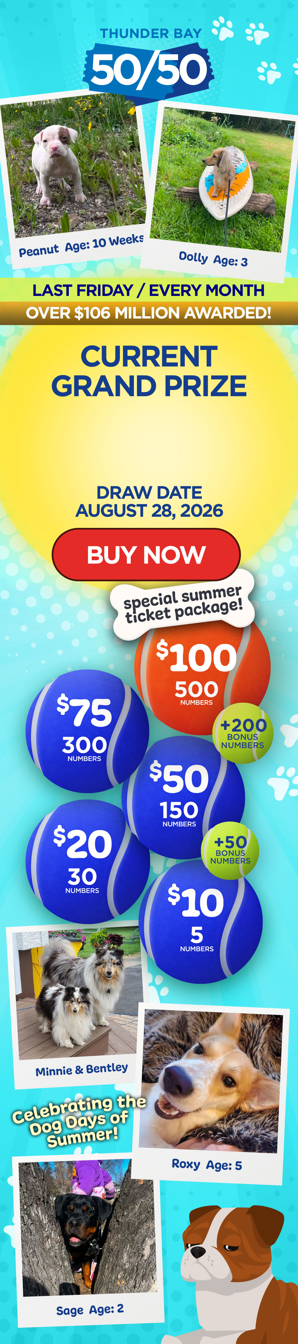 Grand Prize Banner Mobile