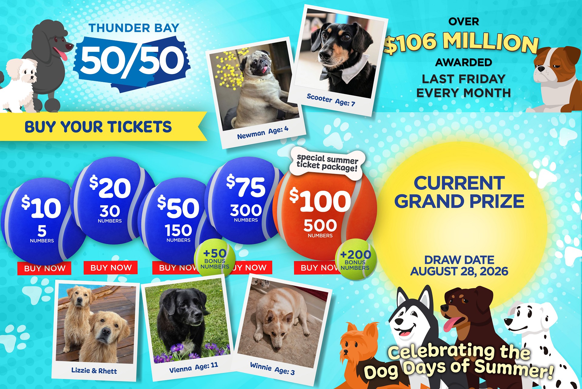 Grand Prize Banner