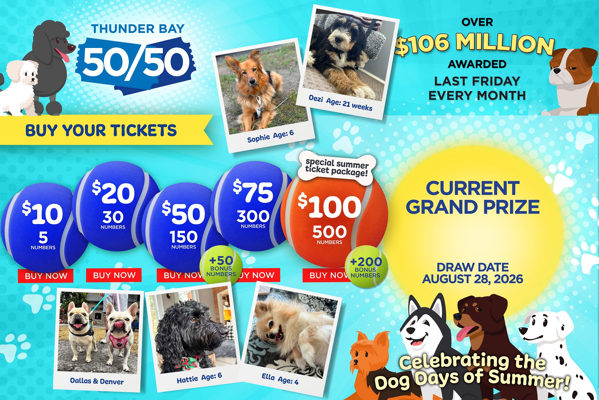 Grand Prize Banner