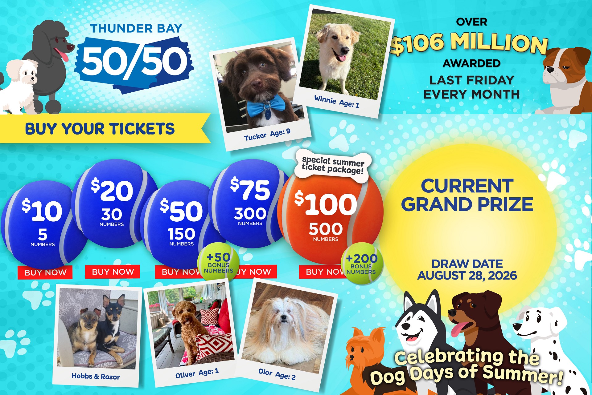 Grand Prize Banner