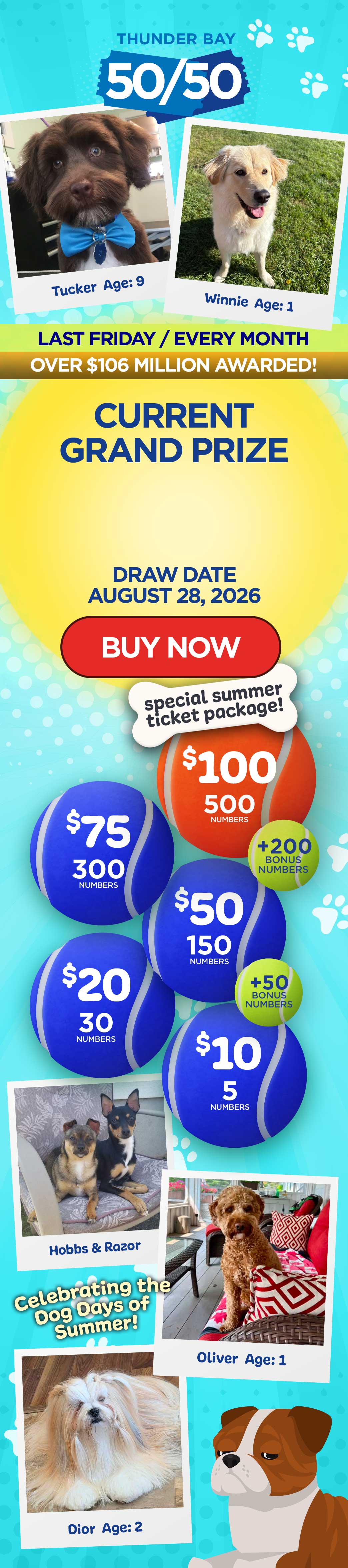 Grand Prize Banner Mobile