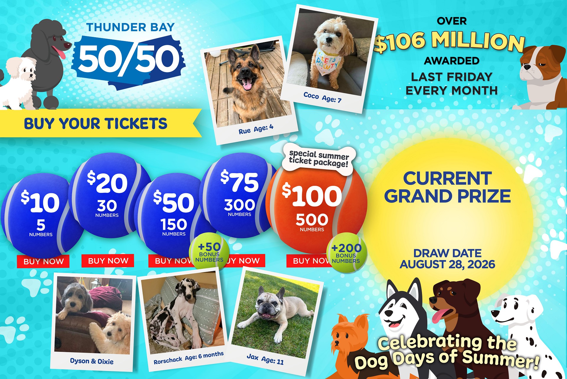 Grand Prize Banner