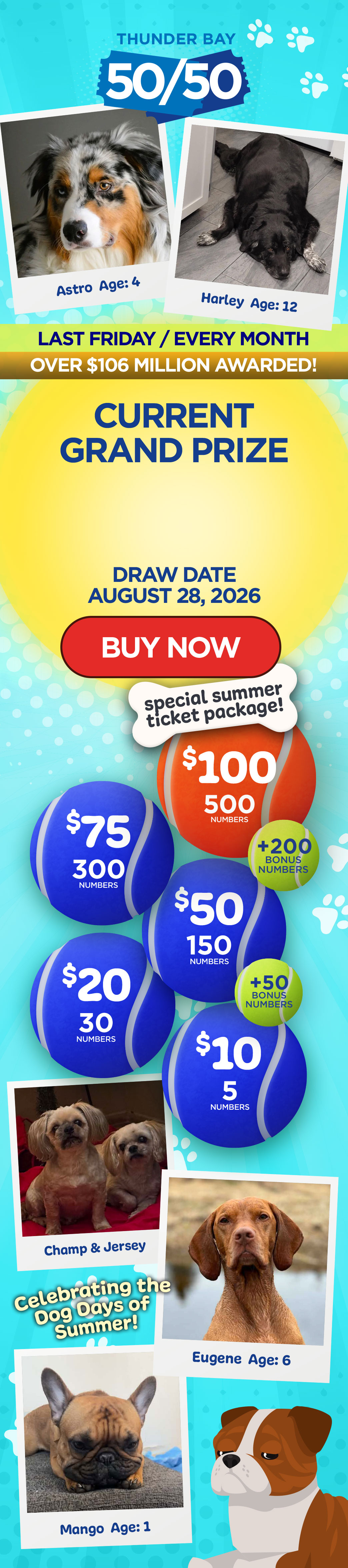 Grand Prize Banner Mobile