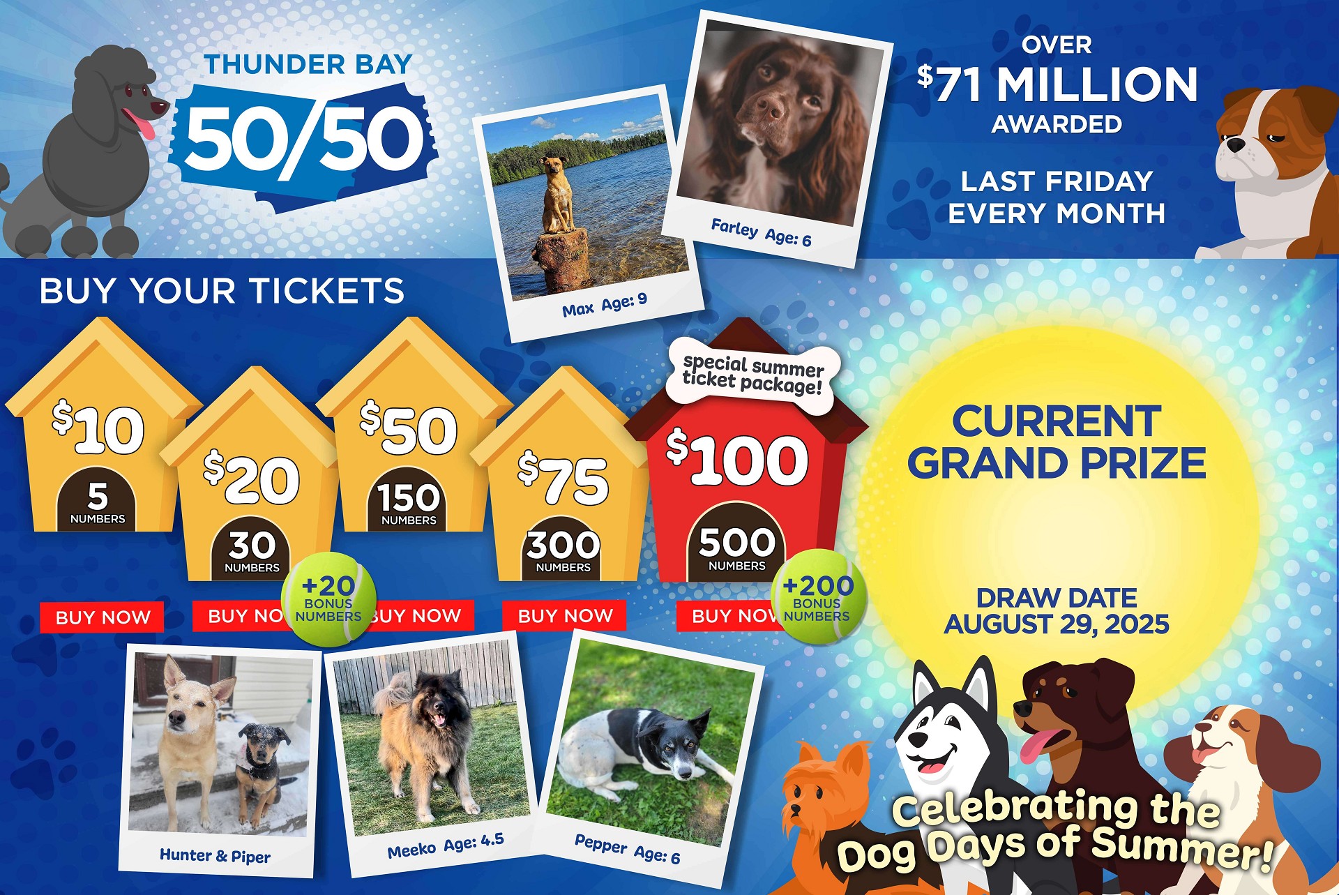 Grand Prize Banner