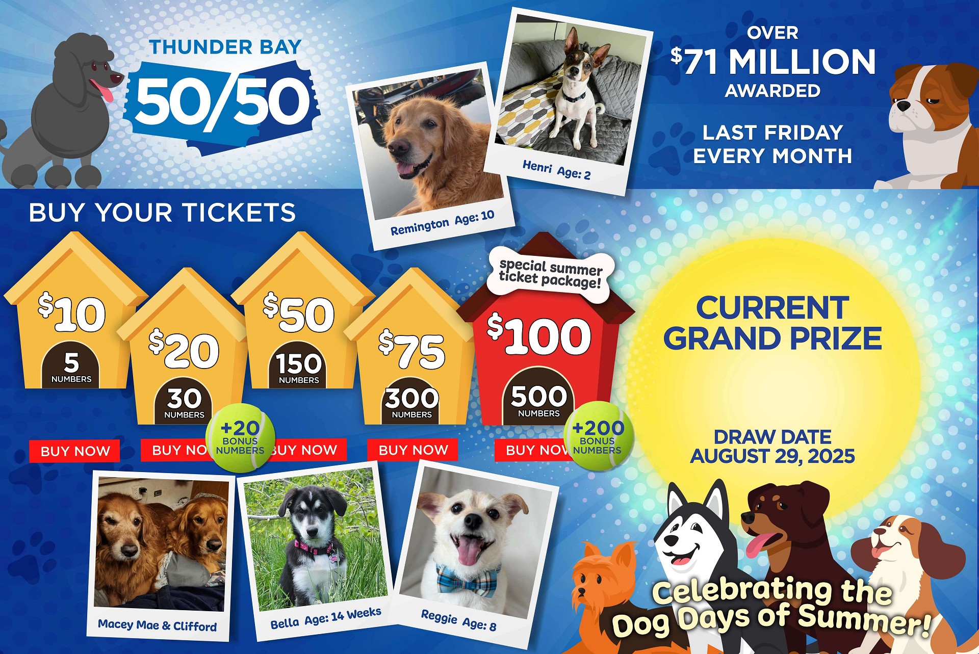 Grand Prize Banner