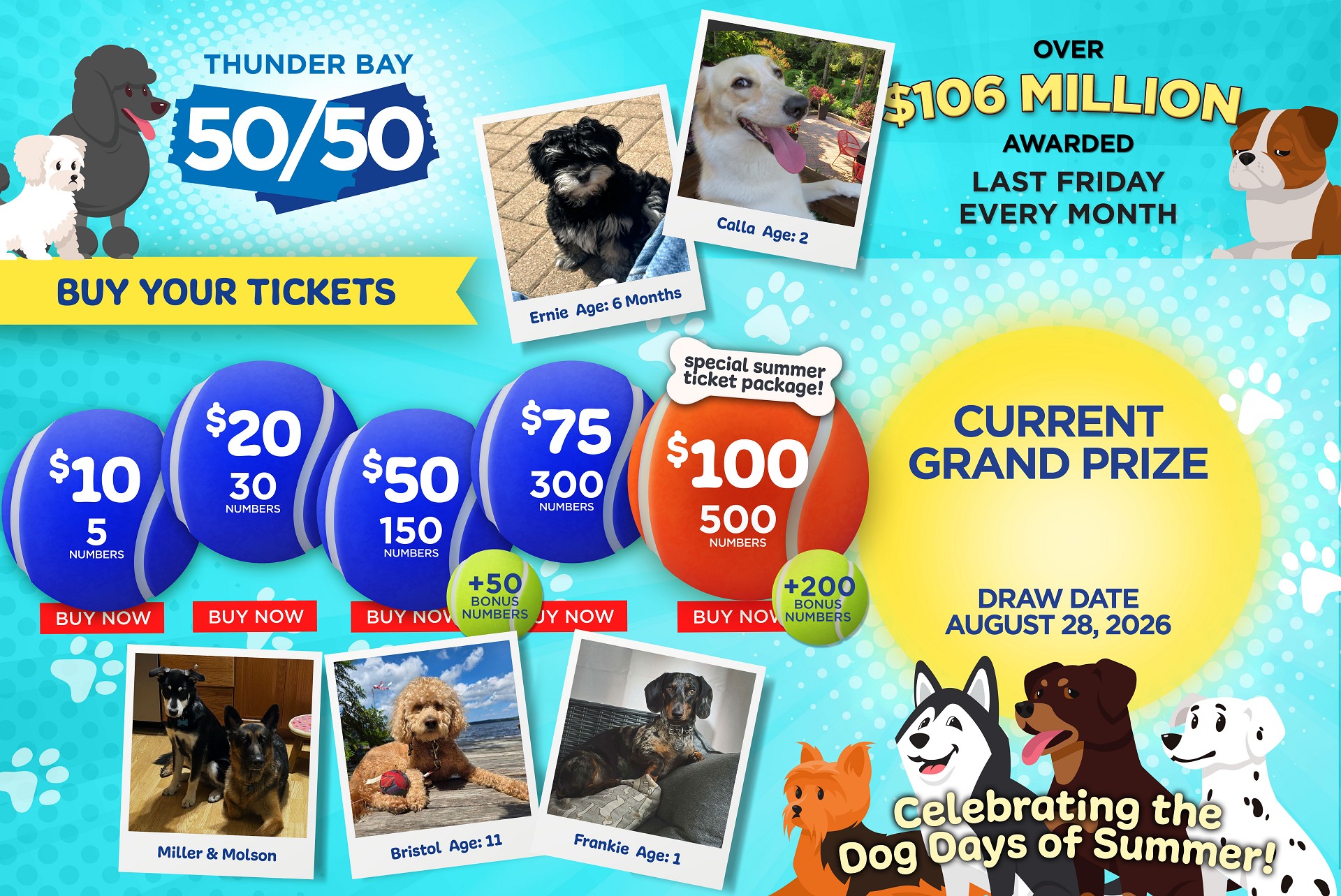 Grand Prize Banner