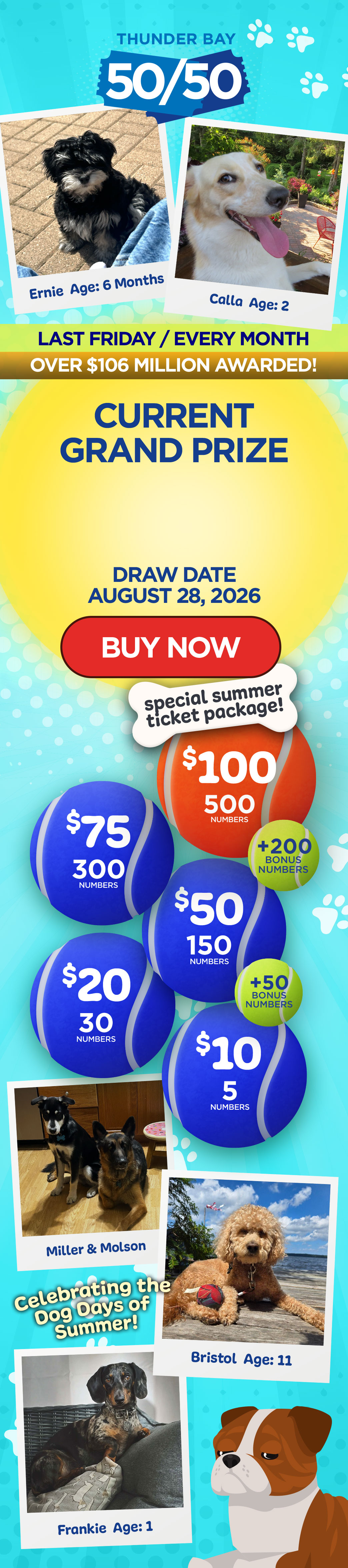Grand Prize Banner Mobile